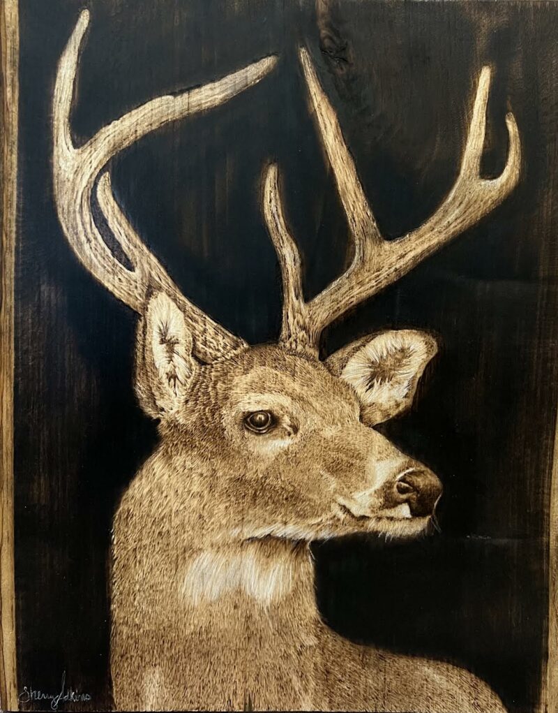 pyrography deer, woodburning art, wildlife art,