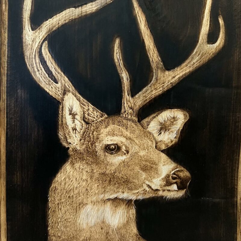 pyrography deer, woodburning art, wildlife art,