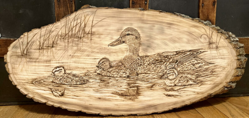 pyrography ducks, woodburning ducks, wildlife art, bird art