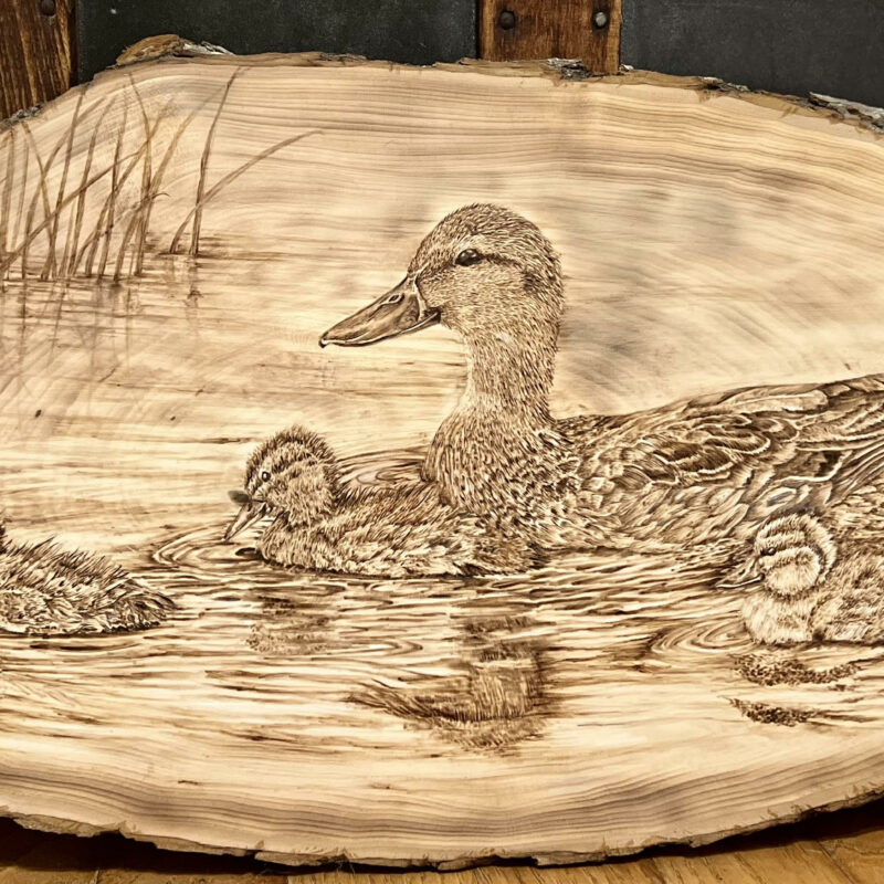 pyrography ducks, woodburning ducks, wildlife art, bird art