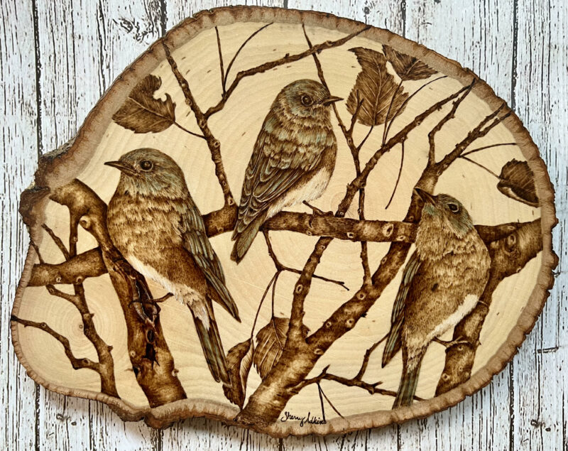 pyrography art, handmade bluebirds, wildlife art