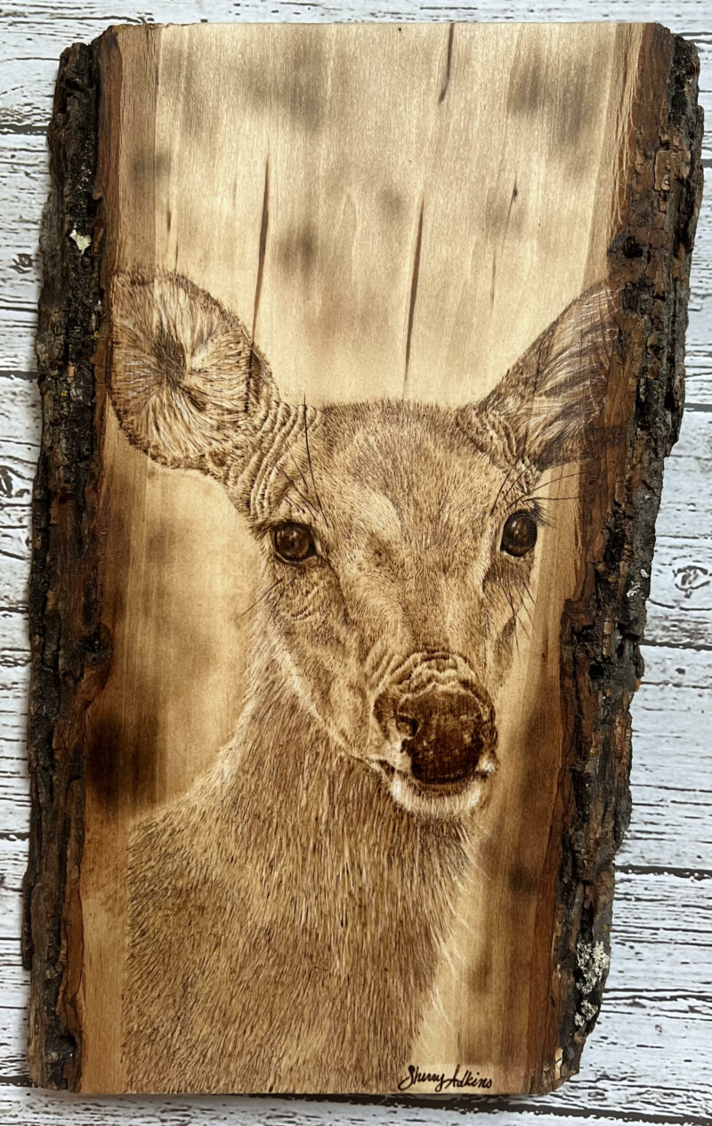 handmade pyrography whitetail doe deer