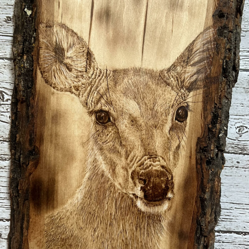 handmade pyrography whitetail doe deer