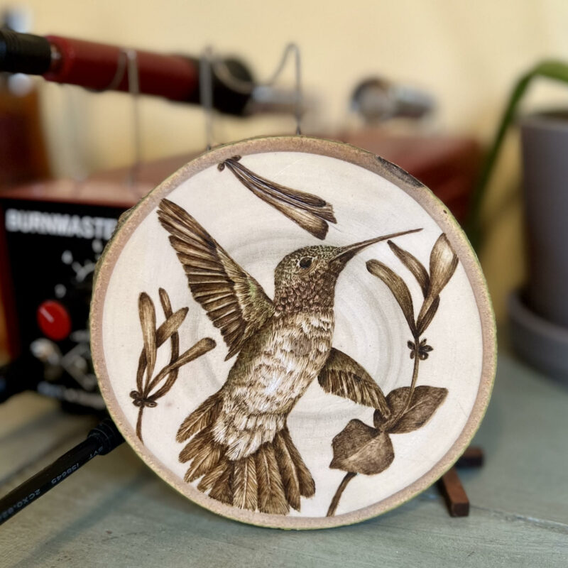 handmade hummingbird pyrography art