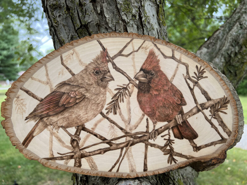 handmade pyrography art, pyrography cardinals, bird art